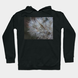 Soft field sunset Hoodie